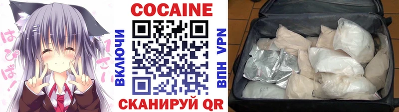 дарнет шоп  Ядрин  гидра ссылки  Кокаин Боливия 