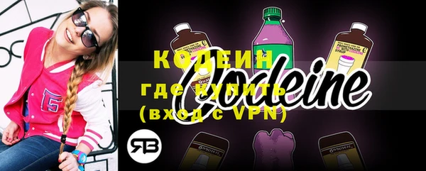 spice Богородицк