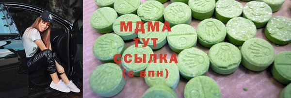 ГАЛЛЮЦИНОГЕННЫЕ ГРИБЫ Богданович