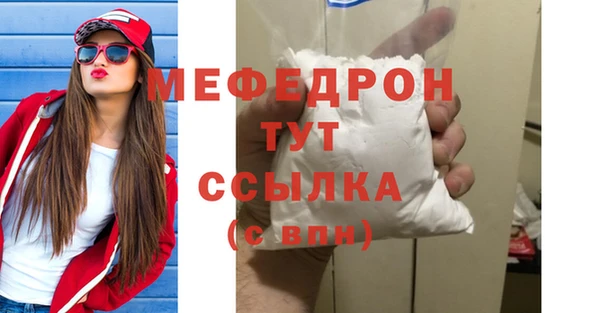 spice Богородицк