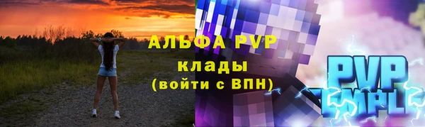 гашик Богородск