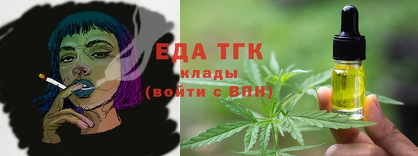 spice Богородицк