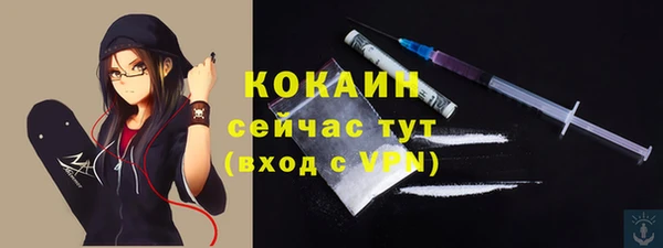 spice Богородицк