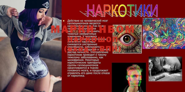 ГАЛЛЮЦИНОГЕННЫЕ ГРИБЫ Богданович