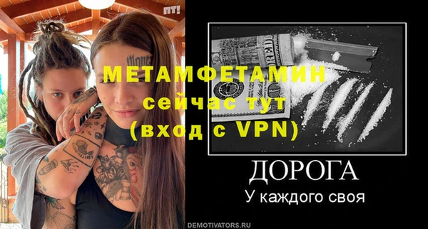 ГАЛЛЮЦИНОГЕННЫЕ ГРИБЫ Богданович