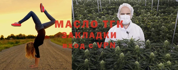 spice Богородицк