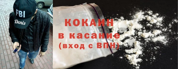 ГАЛЛЮЦИНОГЕННЫЕ ГРИБЫ Богданович