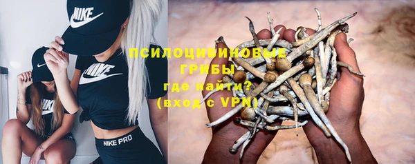 2c-b Лабытнанги