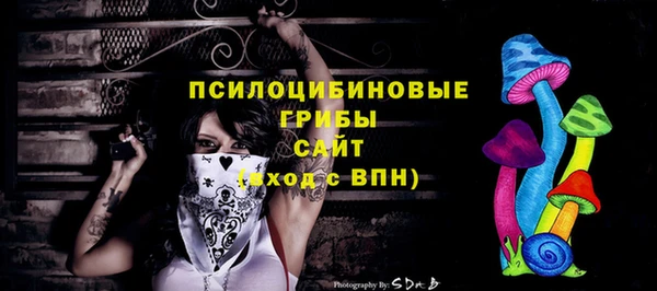 гашик Богородск