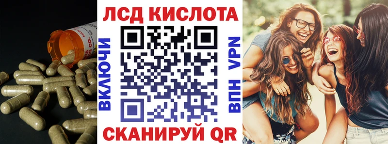 blacksprut зеркало  Ядрин  ЛСД экстази кислота 