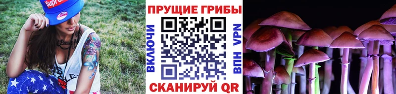 как найти закладки  Ядрин  Галлюциногенные грибы GOLDEN TEACHER 